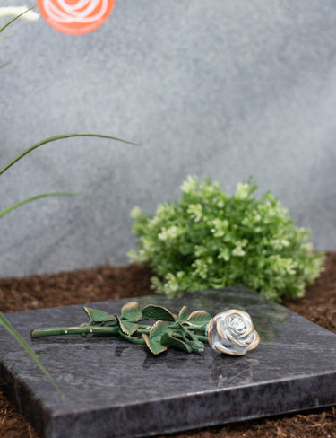 Rose Bronze groß grün mit weißen Blüten
